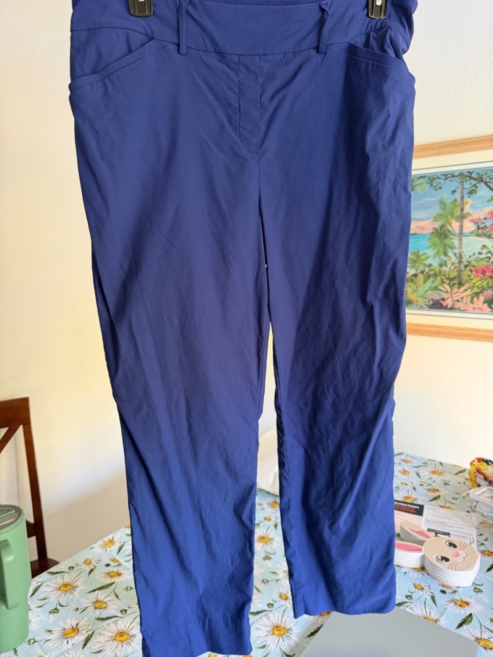 Hilary Radley Women's Chinos in Royal Blue